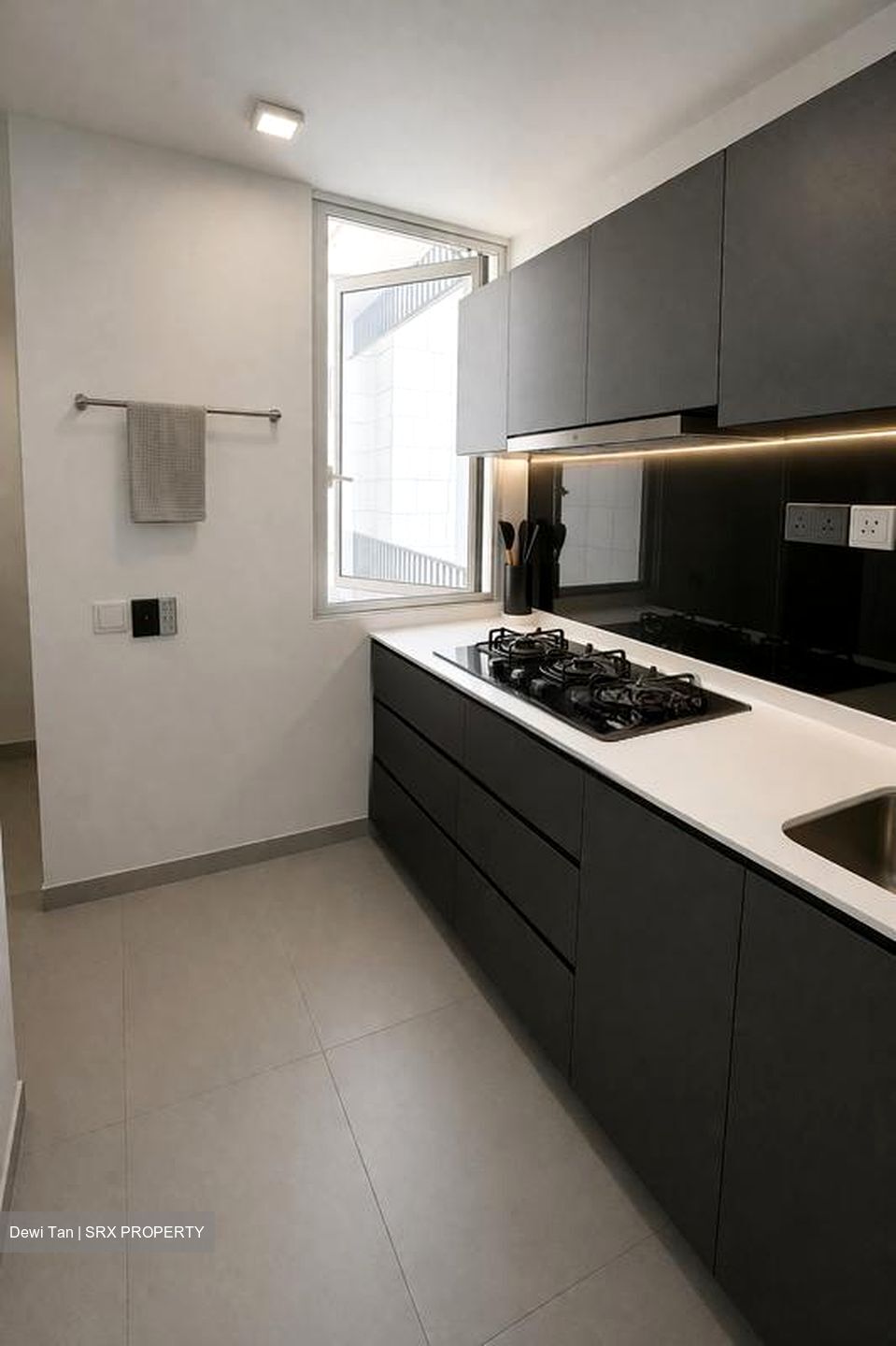Ecopolitan (D19), Condominium #537904581